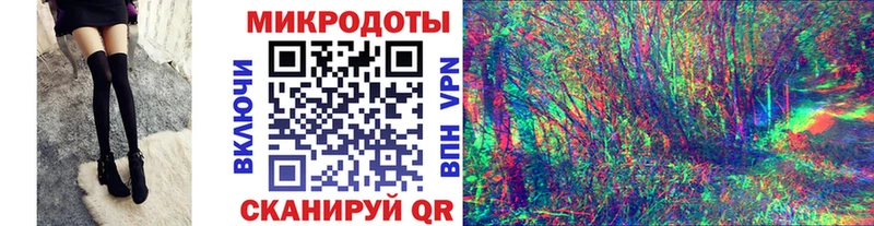 Псилоцибиновые грибы мицелий  Купить закладки  Тында 